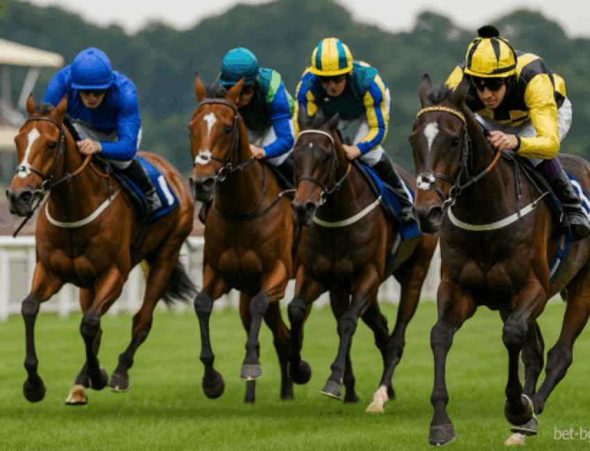 bet365