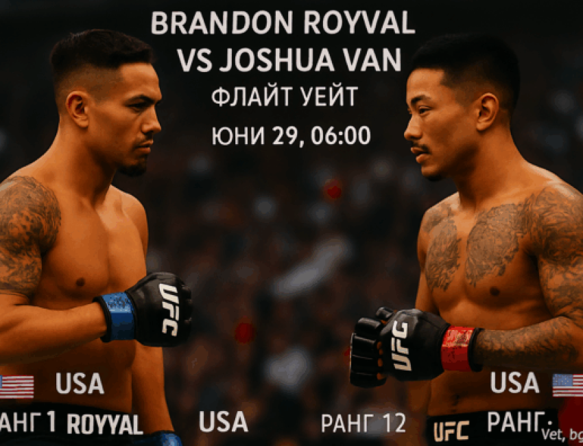 bet365 ufc
