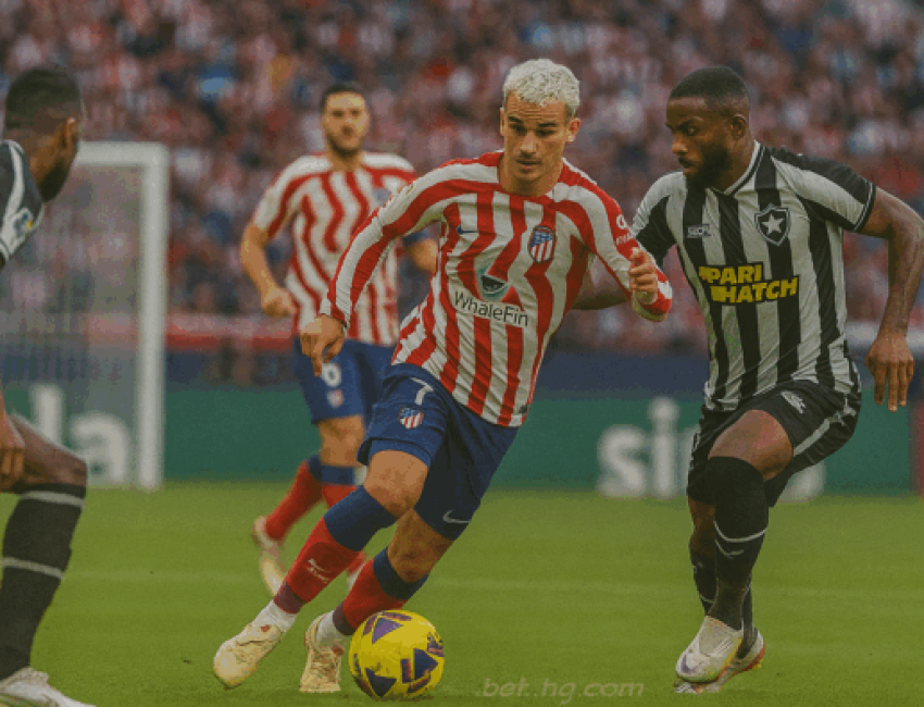bet365 usa