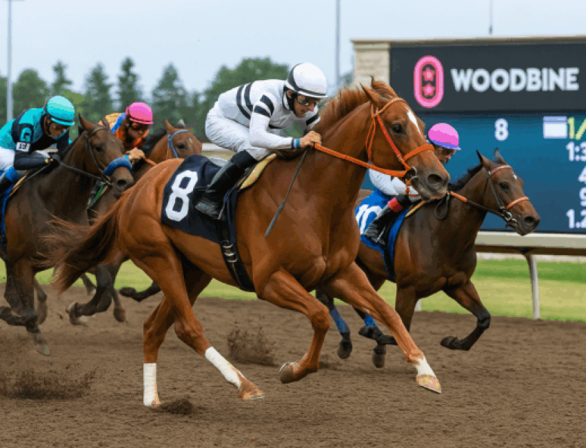 konjičku trku Woodbine bet365